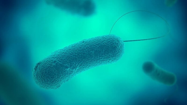 Protocolo para la prevención y control de Legionella en instalaciones de riesgo.jpg